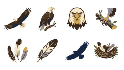 Fototapeta premium American Bald Eagle Wildlife Vector Collection with Flight, Feathers, Talons and Nest Elements