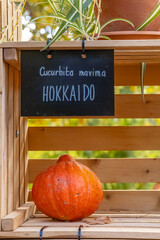 Hokkaido pumpkin on wooden shelf with blackboard sign © Richard Semik