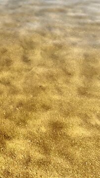 Golden sand shimmers beneath shallow water as gentle ripples move across beach shoreline. Sunlit wet grains create warm, tranquil coastal texture with softly shifting patterns, flowing over sand.