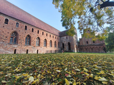 Medieval Brick Gothic Monastery Courtyard Covered with Fallen Leaves