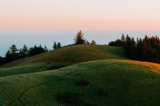 Grassy Hilltop at Dusk