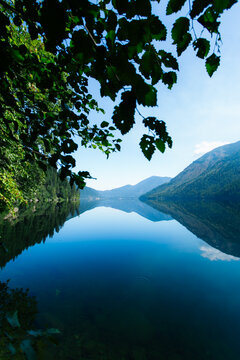 Serene Lake and Forest Reflection
