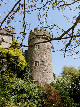 Medieval tower at Malahide Castle framed by spring foliage