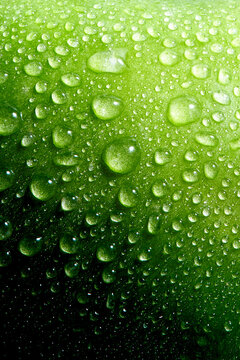 Green Droplets