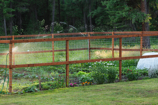 Fenced Garden with Sprinkler