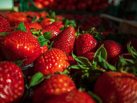 Customers browse through a vibrant display of fresh strawberries in a local market. Sunlight highlights the red berries and green leaves