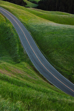 Curving Road Through Verdant Hills