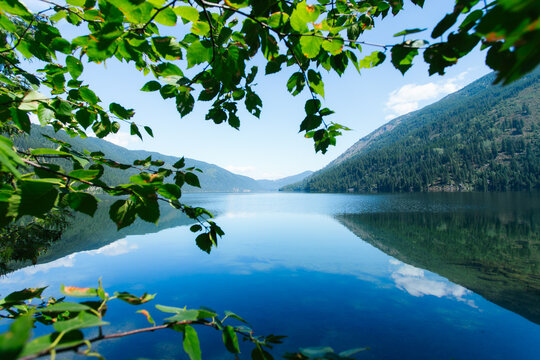 Lake Framed by Green Leaves