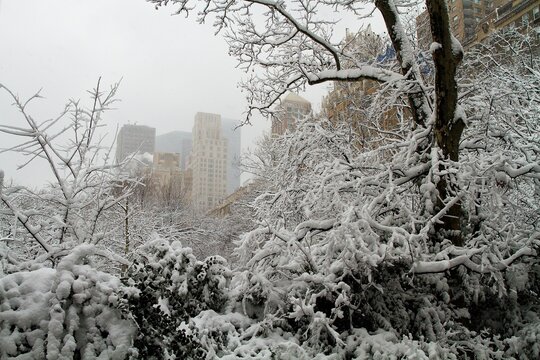New York City winter