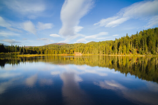 Calm Lake and Forest Reflection