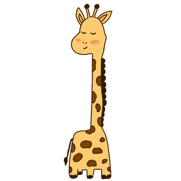giraffe vector illustration