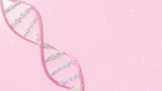 Pink DNA double helix strand with colorful pastel molecules rotating on soft pink background 3D animation