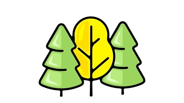 2D pop up animation of stylized flat tree appearing quickly. Separate deciduous or coniferous forest element on alpha channel for motion design.