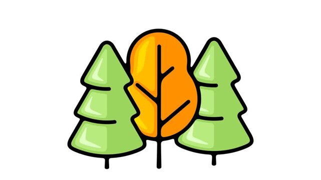 2D pop up animation of stylized flat tree appearing quickly. Separate deciduous or coniferous forest element on alpha channel for motion design.