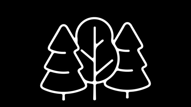 2D pop up animation of stylized flat tree appearing quickly. Separate deciduous or coniferous forest element on alpha channel for motion design.