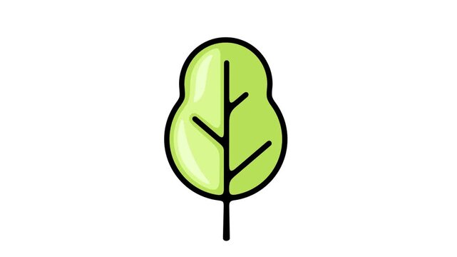 2D pop up animation of stylized flat tree appearing quickly. Separate deciduous or coniferous forest element on alpha channel for motion design.