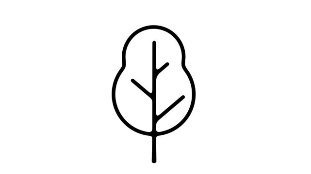 2D pop up animation of stylized flat tree appearing quickly. Separate deciduous or coniferous forest element on alpha channel for motion design.