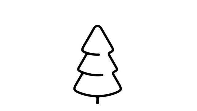 2D pop up animation of stylized flat tree appearing quickly. Separate deciduous or coniferous forest element on alpha channel for motion design.