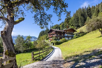 Path with apple tree and a traditional house in the background in the Wildshönau area in Tyrol, Austria © Andreas Prott