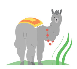 Fototapeta premium Cute llama with traditional decoration. Mexican llama alpacas, family camel member vector illustration