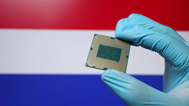 Close up view of hand in blue glove holding CPU microchip. Dutch flag in blurred background. Concept of semiconductor shortage and artificial intelligence development in Netherlands.