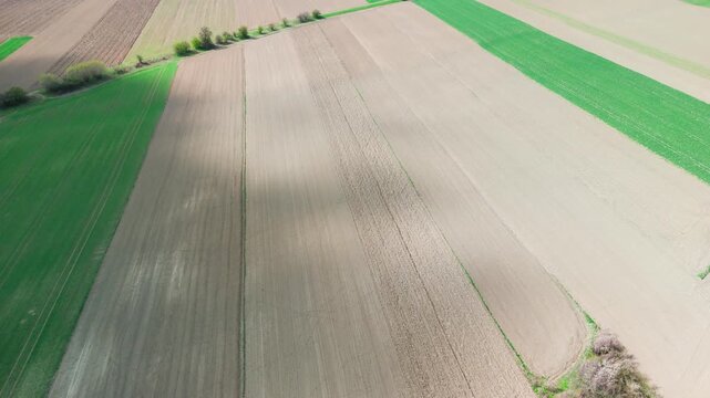 Converging tractor tracks lead across a wide plowed field toward a hedgerow, flanked by bright green crop strips and dark tree shadows, low aerial view of spring planting season, concept of perspecti