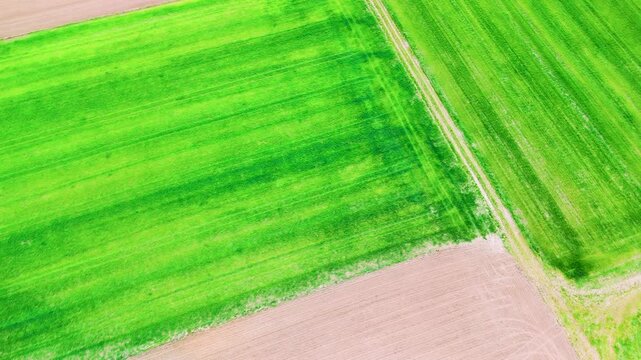 Diagonal field boundaries split vivid green crops and brown plowed land, a narrow grassy path running between the plots, high angle aerial close up, concept of land division and bold agricultural geo