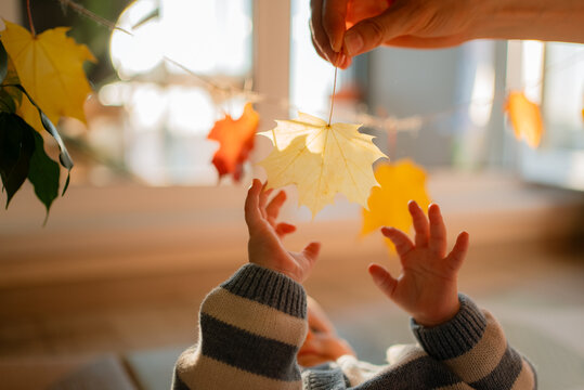 Baby boy reaching up with small hands, a parent holding a vibrant maple leaf overhead, exploring textures and bright autumn colors during early childhood development and discovery indoors