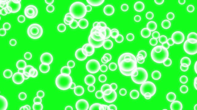 Water bubbles floating upward from front view on green screen background, Champagne bubbles- Rising white foam bubbles. Soap bubble animation slowly rising, 4K Video.