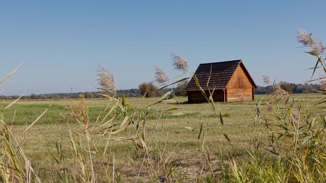 Cinematic panning shot through tall grass blowing in the wind towards a traditional historic wooden hay barn, Trebon, Czech republic