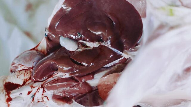 Bekasi, Indonesia, May 27 - 2026: Eid al-Adha qurbani meat preparation close-up on white cloth