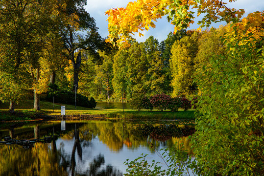 Autumn park landscape with golden trees, a peaceful pond, lush greenery, and beautiful reflections on calm water.