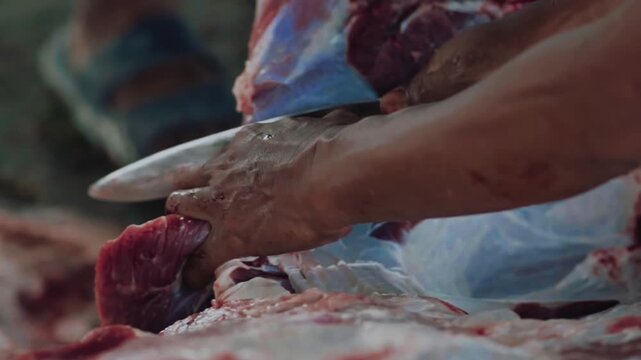 Bekasi, Indonesia, May 27 - 2026: Eid al-Adha qurbani meat preparation with knife in close-up detail
