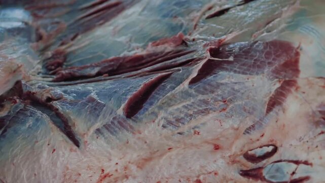 Bekasi, Indonesia, May 27 - 2026: Eid al-Adha qurbani meat preparation close-up in raw form