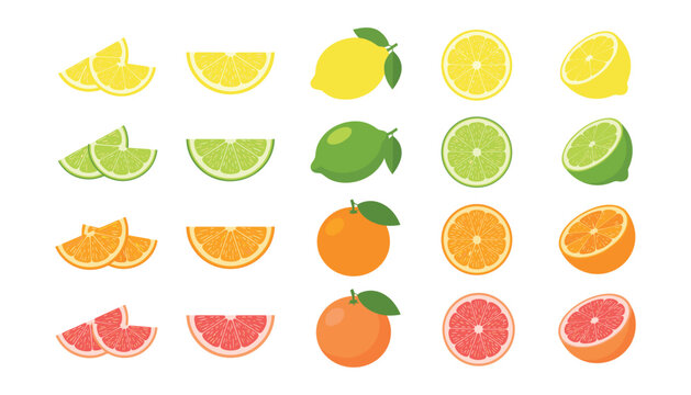 Fresh citrus fruit vector illustration collection featuring lemon lime orange and grapefruit slices halves and whole elements set
