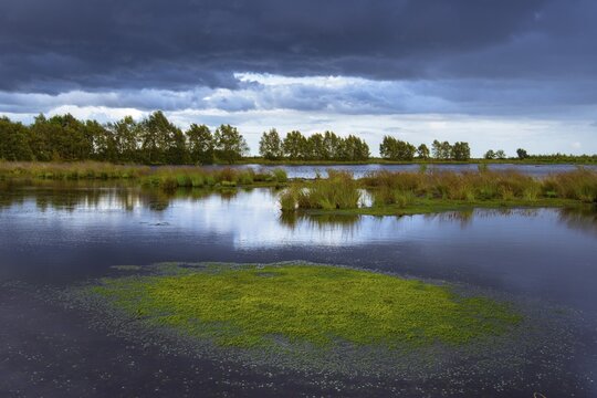 Goldenstedter Moor, nature reserve, peat moss, Goldenstedt, Lower Saxony, Germany