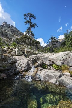 Pool and small waterfall in the mountains, in the river Golo, Parc naturel r&eacute;gional de Corse, Regional Natural Park of Corsica, Corsica, France