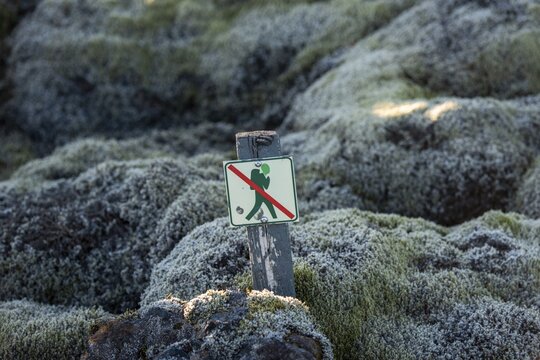 Prohibition sign Do not leave hiking trail, Laki Crater or Lakag&iacute;gar, Highlands, South Iceland, Su&eth;urland, Iceland
