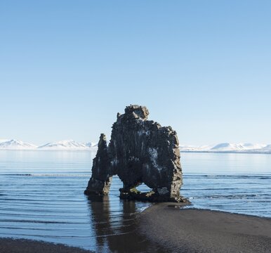 Hvitserkur, Elephant Rock on lava beach, natural basalt rock formation, Northwestern Region, Iceland