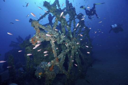 An ancient paddle wheel from a shipwreck surrounded by small fish &ndash; Mediterranean anthias (Anthias anthias) &ndash; in the water, at the Ville de Grasse wreck dive site, Hy&egrave;res, Giens Peninsula, Mediterranean Sea, Porquerolles, Provence, C&ocirc;te d'Azur, France