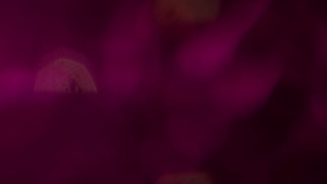 Illuminated twinkle. Blur glare. Defocused neon magenta pink purple color lens flare flicker sparkle gleam glimmer shine on abstract bokeh background.