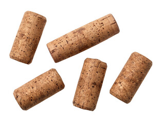 Fototapeta premium Five cylindrical natural cork stoppers as isolated on with cork oak as isolated on transparent background