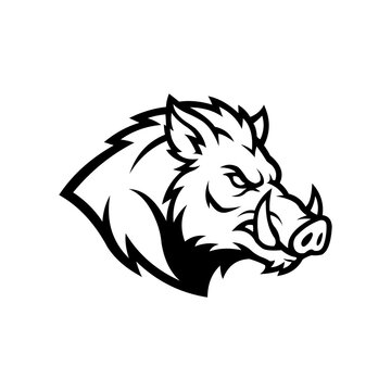 Angry Wild Boar Mascot Logo Vector, Head Hog Silhouette for Sports Team and Gaming Emblem
