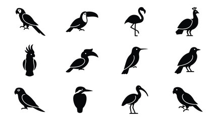 Fototapeta premium Black and White Silhouette Illustrations Of Various Bird Species On Transparent Background