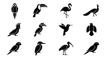 Fototapeta premium Black and White Silhouette Illustrations of Various Bird Species Standing Positions