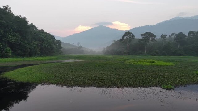 Tranquil river landscape with calm water reflecting pink sunset sky and misty green mountains surrounded by dense forest under peaceful evening light at Tasik Raban