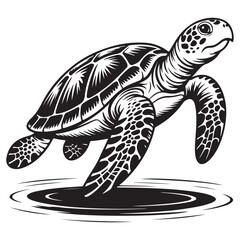 Fototapeta premium Sea Turtle and Marine Life Line Art, Black & White Ocean Clipart, Cutting Boards & Craft, coloring pages, coloring book, kids activities