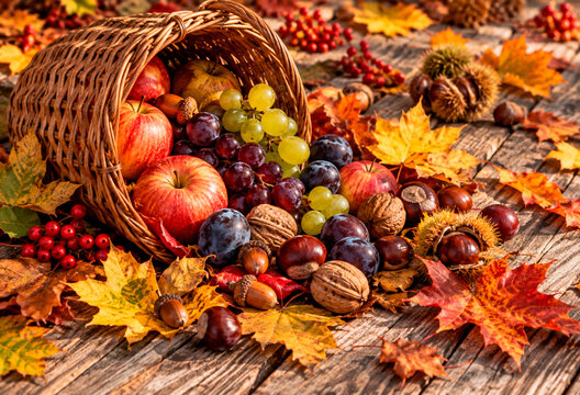 autumn basket with fruits, walnuts, grapes, chestnuts, apples, autumn leaves