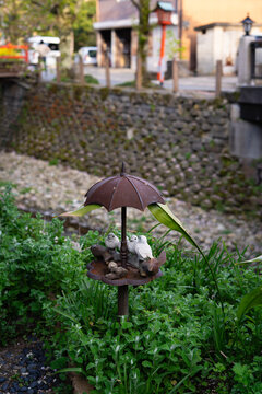 umbrella in the garden