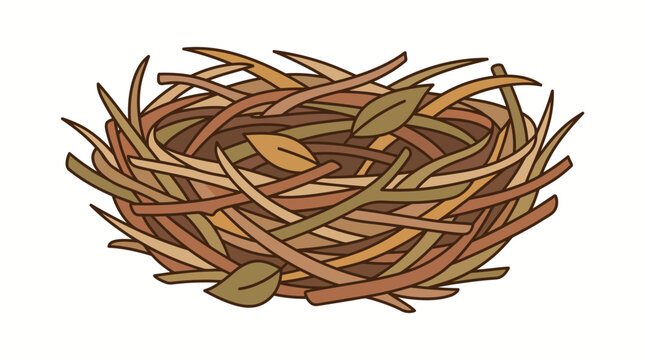 Bird nest made of twigs and branches